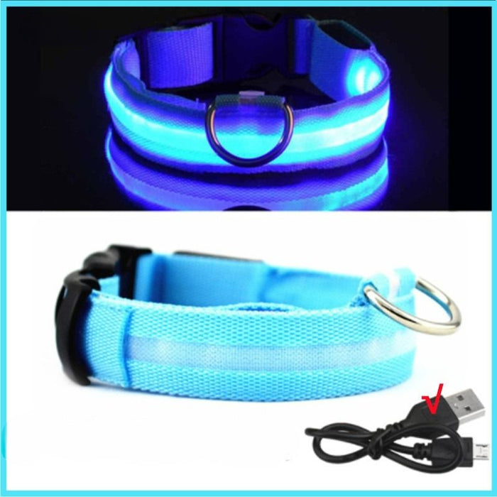 Rechargeable Adjustable LED Flashing Glowing Dog Collar