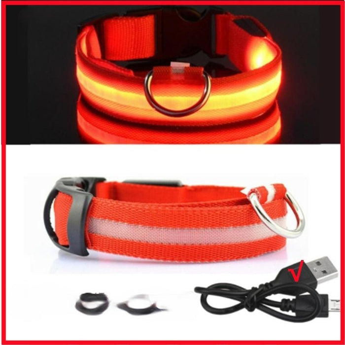 Rechargeable Adjustable LED Flashing Glowing Dog Collar