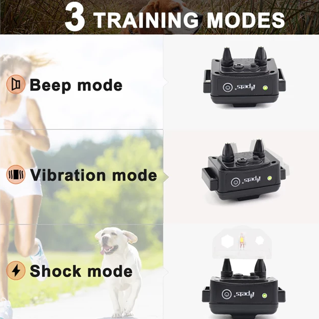 Ziggy Remote Dog Training Collar With Beep, Vibrate and No Harm Shock