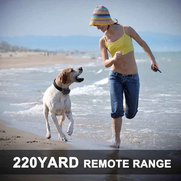 Ziggy Remote Dog Training Collar With Beep, Vibrate and No Harm Shock