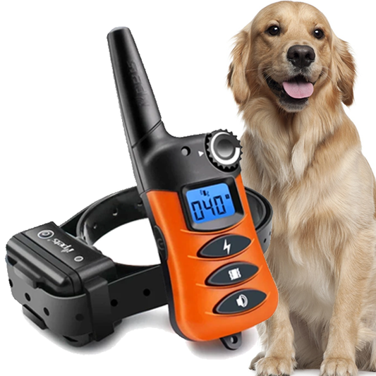 2025 Ziggy Electric Dog Training Collar With Beep, Vibrate and No Harm Shock