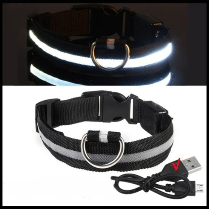 Rechargeable Adjustable LED Flashing Glowing Dog Collar