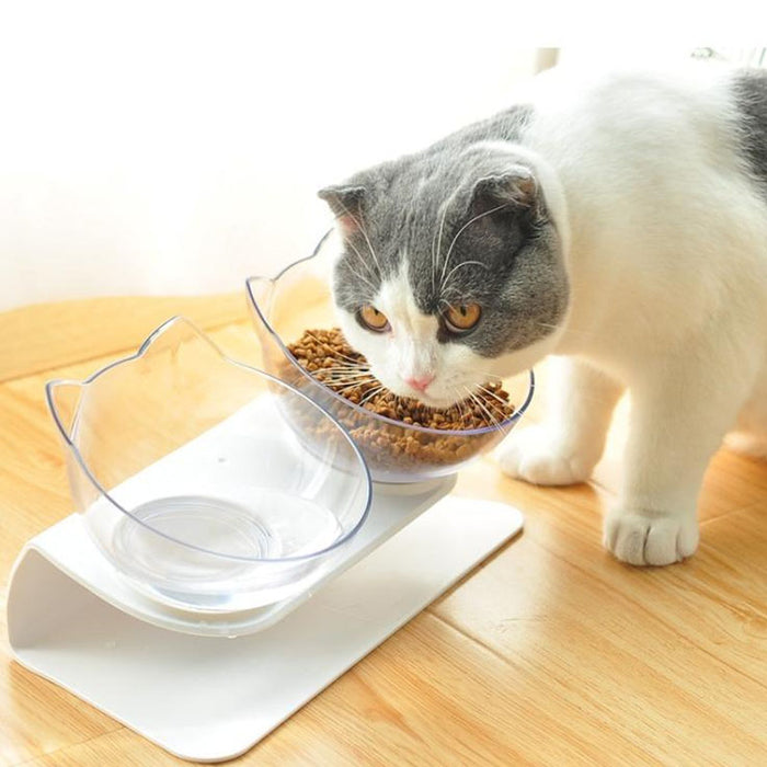 Non-Slip Double Pet Bowl