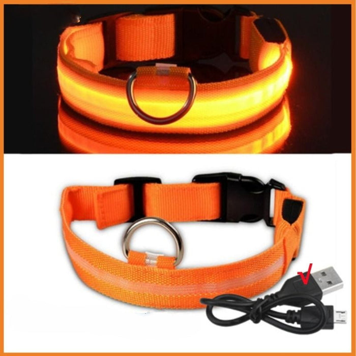 Rechargeable Adjustable LED Flashing Glowing Dog Collar