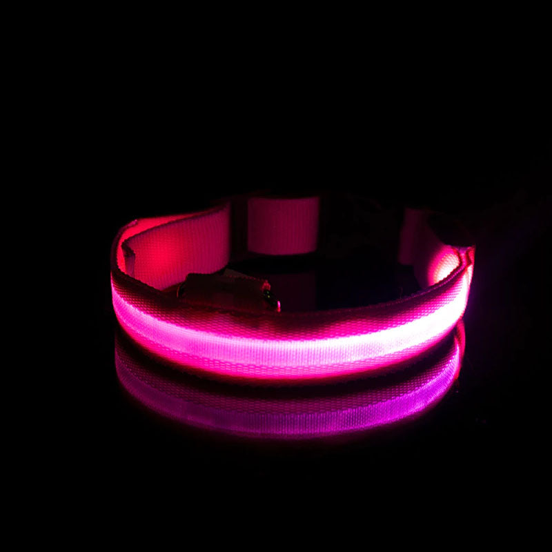 LED Dog Collar