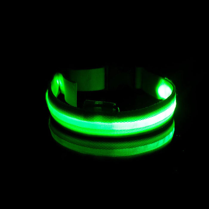 LED Dog Collar