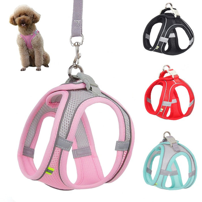 Adjustable Harness Leash Set For Small Dogs