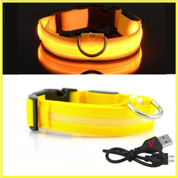 Rechargeable Adjustable LED Flashing Glowing Dog Collar