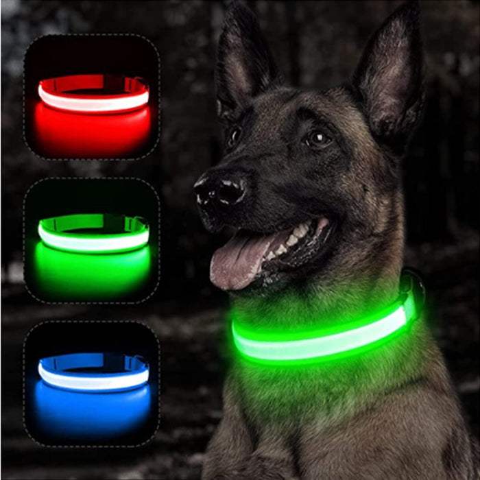 Rechargeable Adjustable LED Flashing Glowing Dog Collar