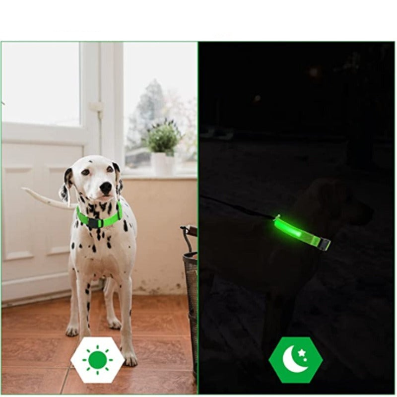 Rechargeable Adjustable LED Flashing Glowing Dog Collar