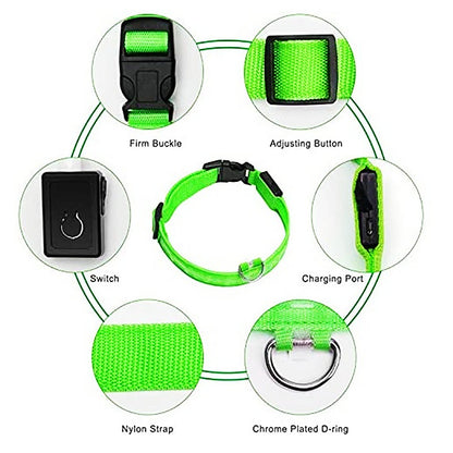 Rechargeable Adjustable LED Flashing Glowing Dog Collar