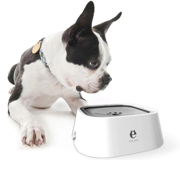 Water Dispenser Pet Bowl