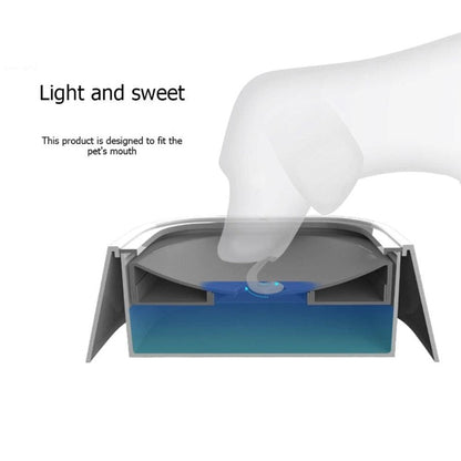 Water Dispenser Pet Bowl