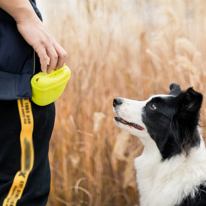 Portable Dog Training Treat Snack Waist Bag