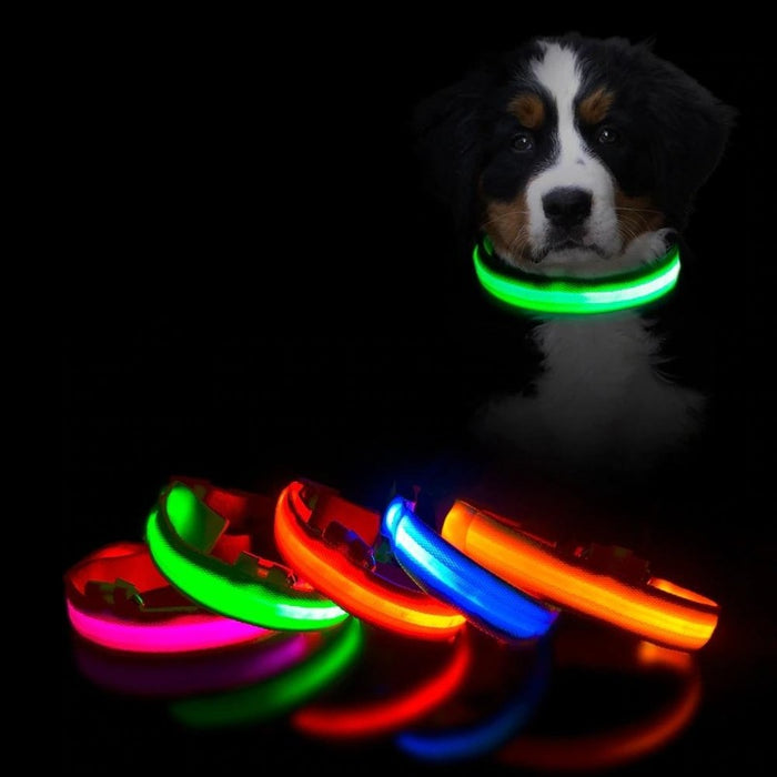 LED Dog Collar