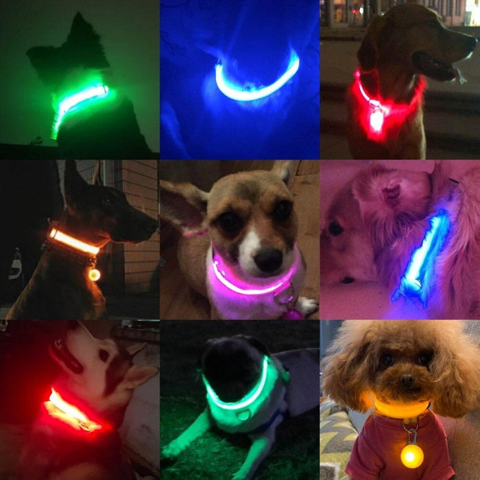 LED Dog Collar