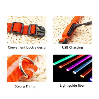 LED Dog Collar