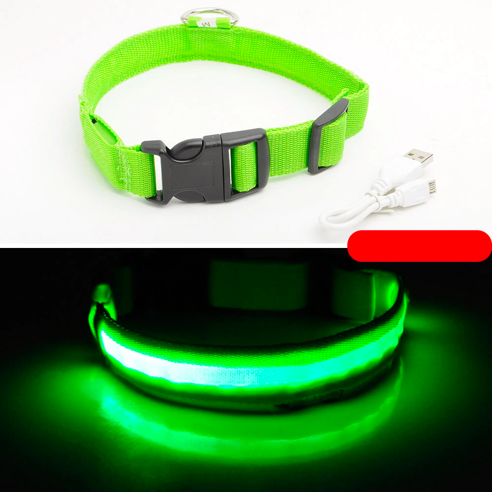 Ziggy LED Dog Collar - USB Rechargeable - Glow In Dark